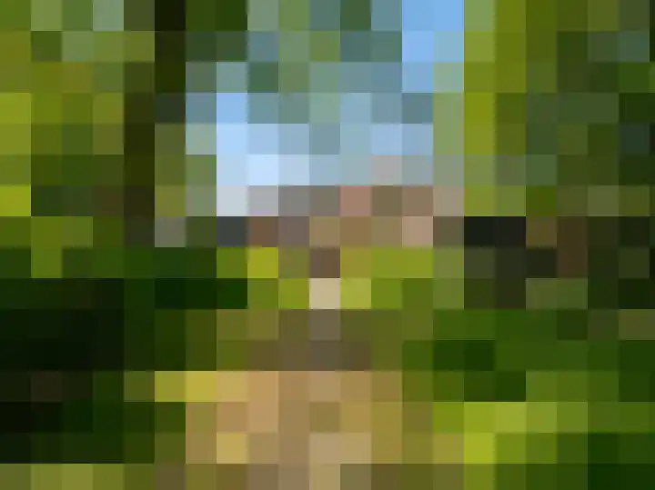 Grote Buren 19 Wergea thumbnail 88