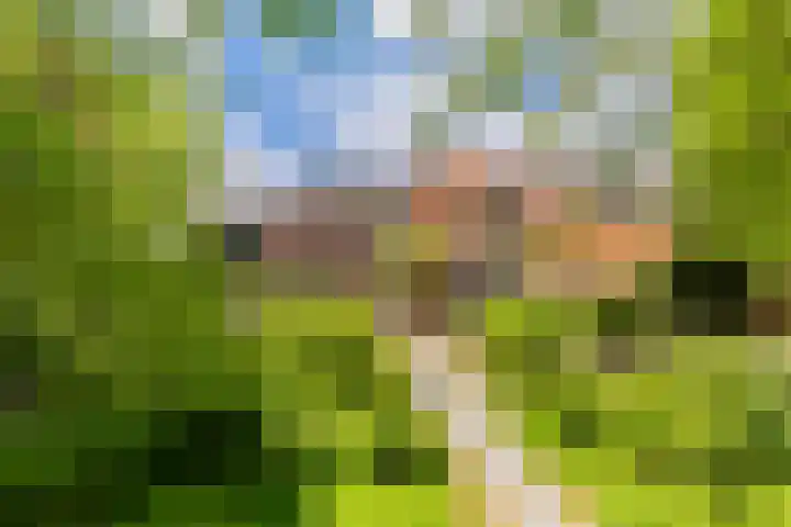 Grote Buren 19 Wergea thumbnail 96