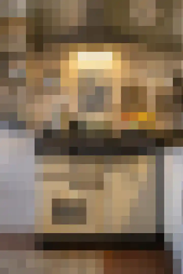 Grote Buren 26 Wergea thumbnail 17
