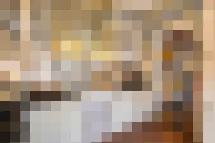 Grote Buren 26 Wergea thumbnail 20