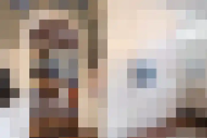 Grote Buren 26 Wergea thumbnail 21
