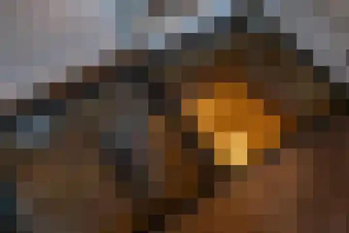Grote Buren 26 Wergea thumbnail 31