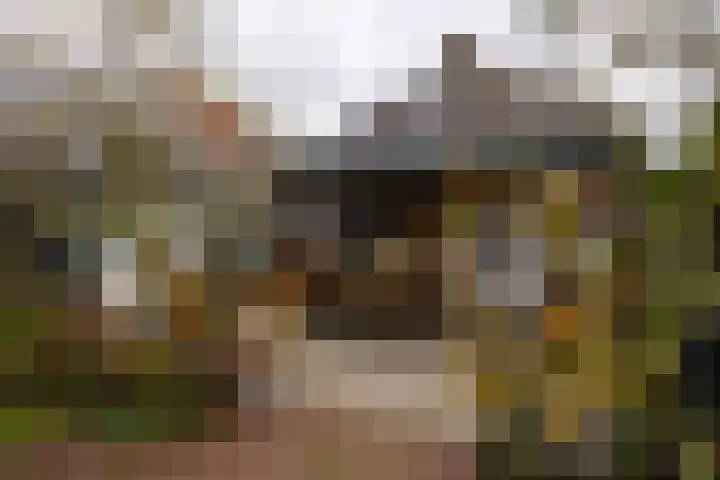 Grote Buren 26 Wergea thumbnail 44