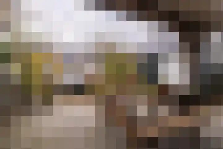 Grote Buren 26 Wergea thumbnail 46