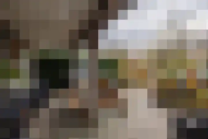 Grote Buren 26 Wergea thumbnail 47