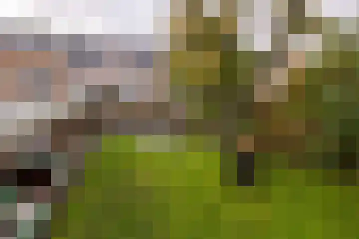 Grote Buren 26 Wergea thumbnail 49