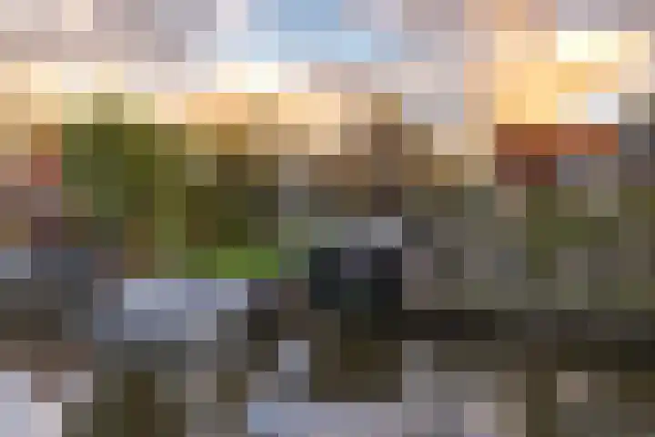 Grote Buren 26 Wergea thumbnail 5