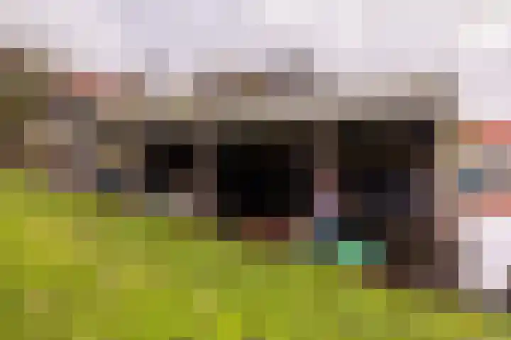 Grote Buren 26 Wergea thumbnail 50