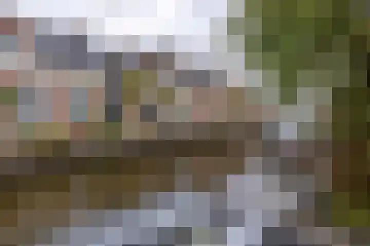 Grote Buren 26 Wergea thumbnail 51