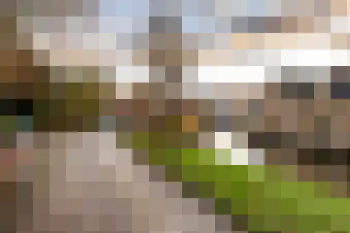 Grote Buren 26 Wergea thumbnail 56