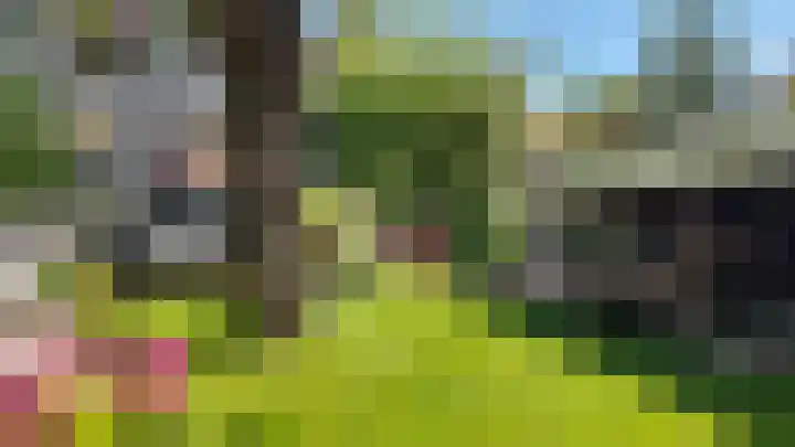 Grote Buren 26 Wergea thumbnail 60