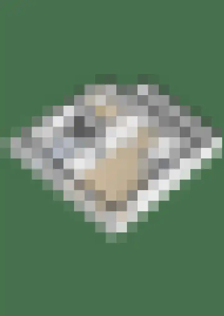 Grote Buren 26 Wergea thumbnail 65