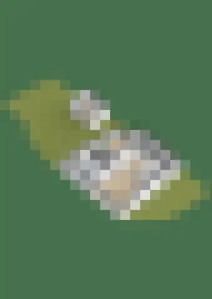 Grote Buren 26 Wergea thumbnail 71