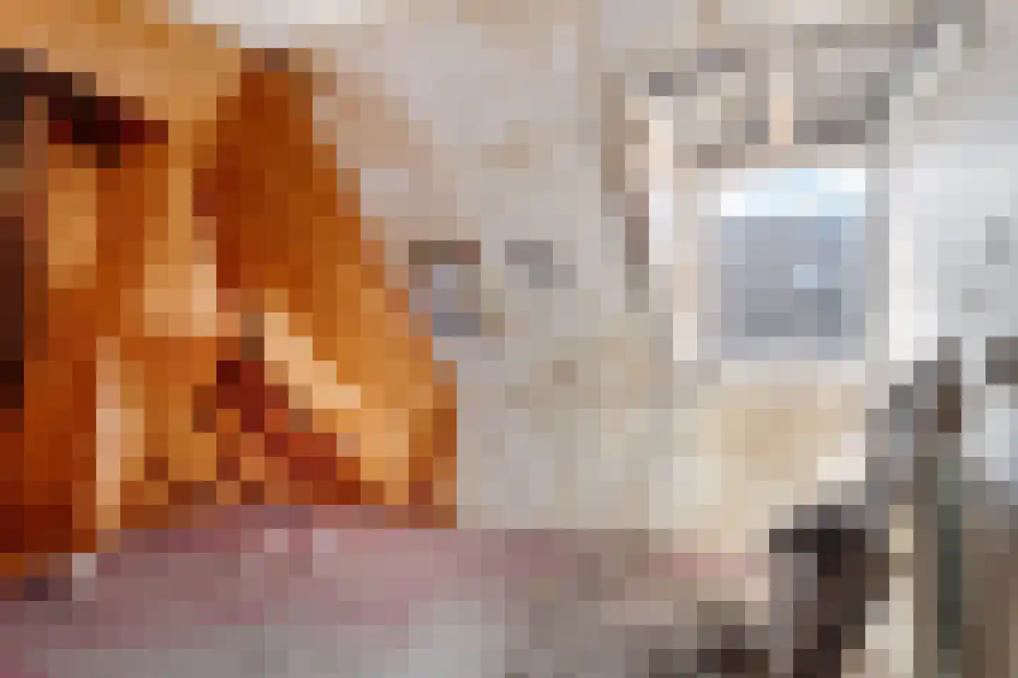 Grote Buren 46 Pingjum thumbnail 12