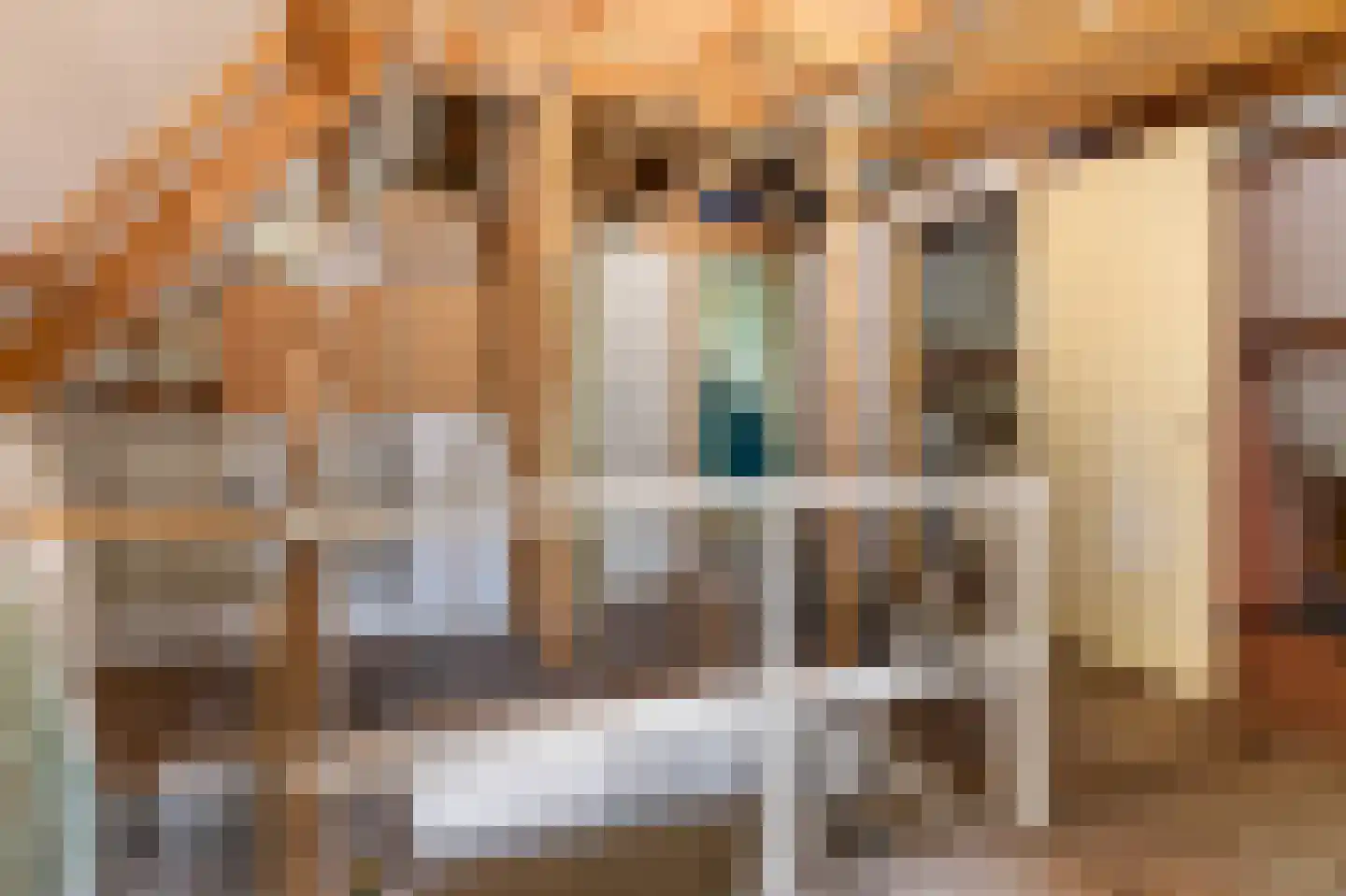 Grote Buren 46 Pingjum thumbnail 15