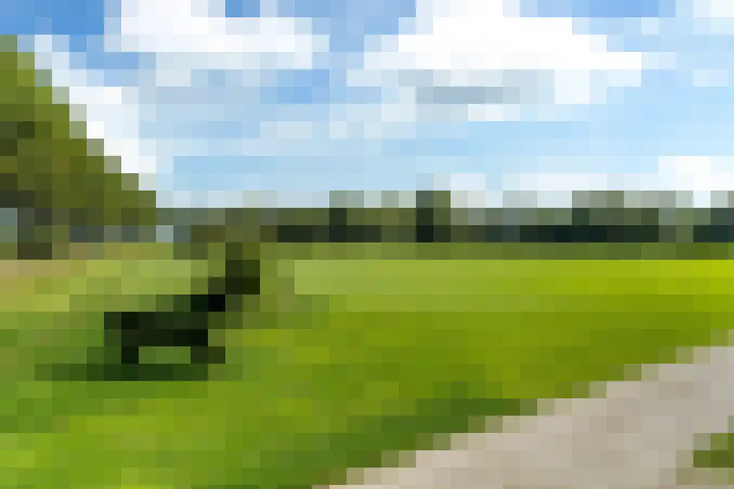 Grote Buren 46 Pingjum thumbnail 20