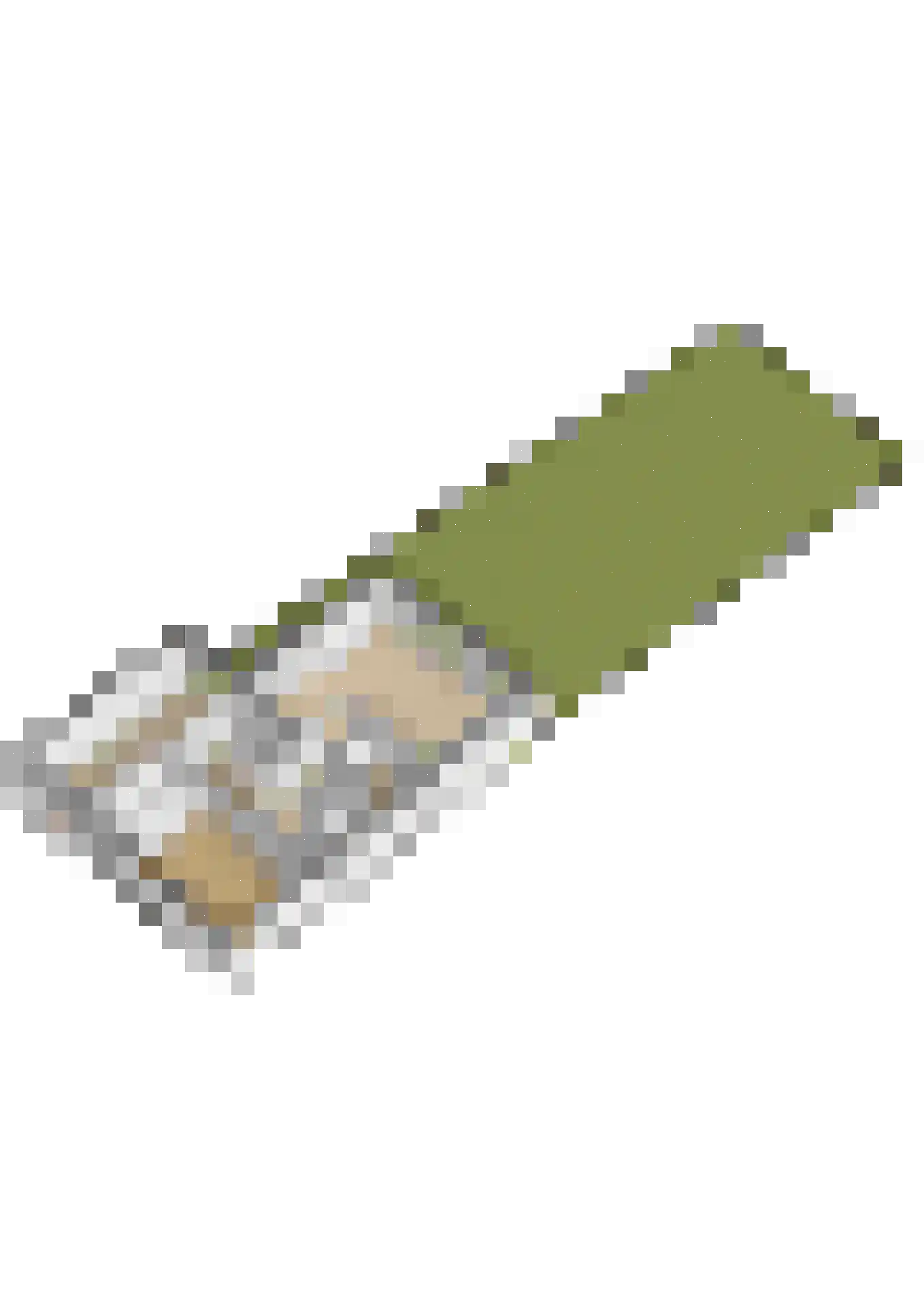 Grote Buren 46 Pingjum thumbnail 26