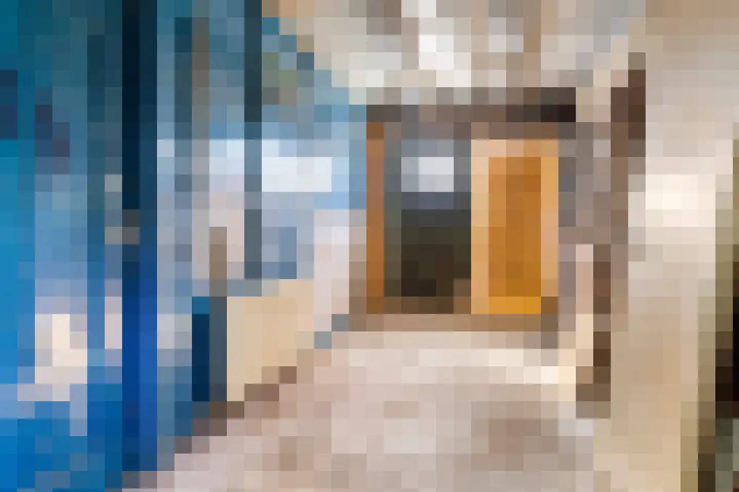 Grote Buren 46 Pingjum thumbnail 5