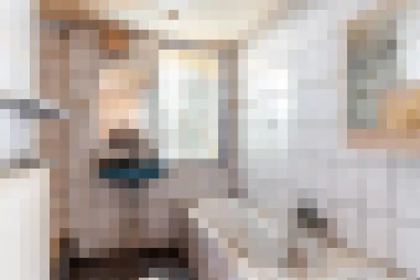 Grote Buren 46 Pingjum thumbnail 7