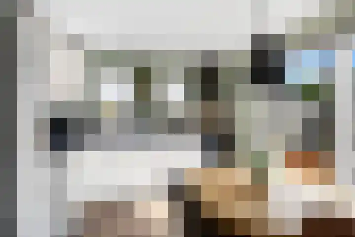 Grote Buren 53 Pingjum thumbnail 10