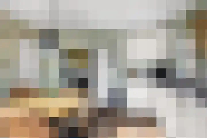 Grote Buren 53 Pingjum thumbnail 12