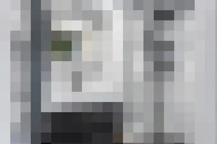 Grote Buren 53 Pingjum thumbnail 14