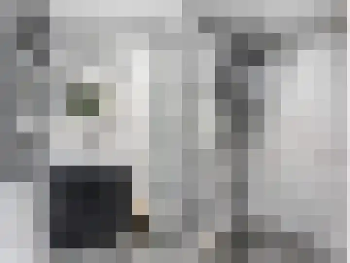 Grote Buren 53 Pingjum thumbnail 15