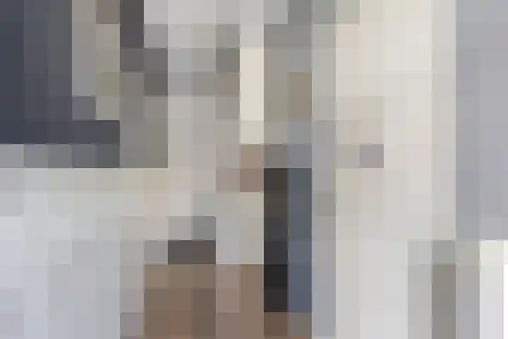 Grote Buren 53 Pingjum thumbnail 19