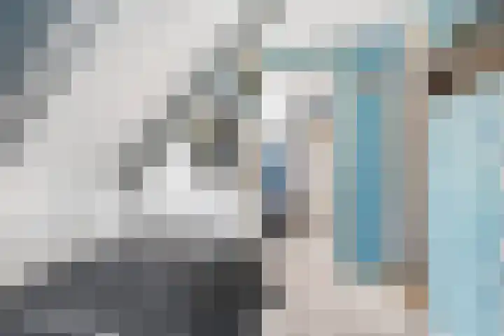 Grote Buren 53 Pingjum thumbnail 29