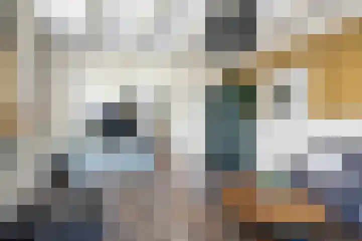 Grote Buren 53 Pingjum thumbnail 6