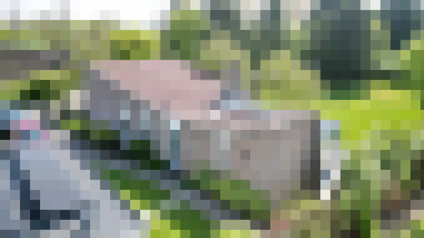 Grote Christoffelstraat 12 Retranchement thumbnail 5