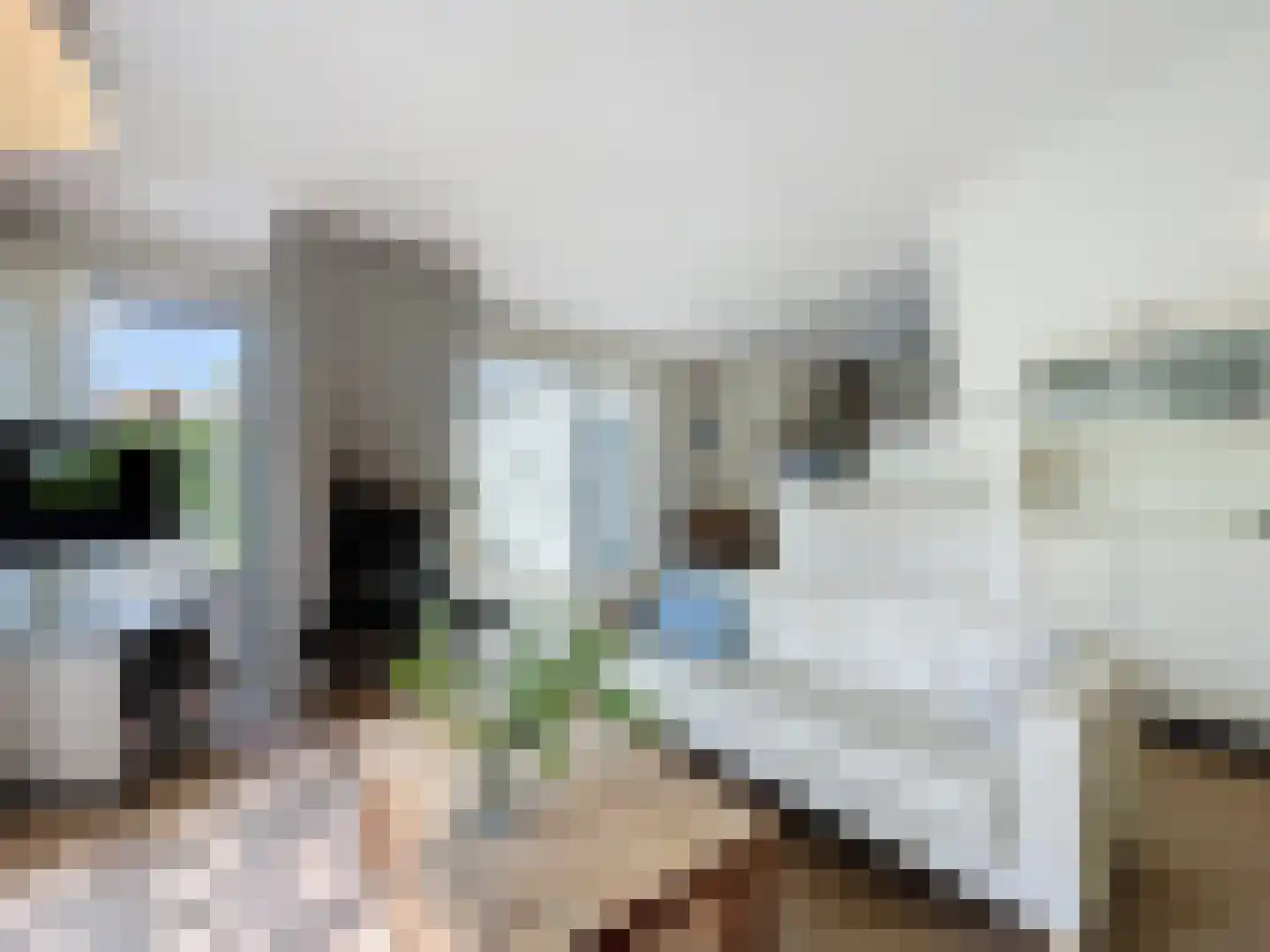 Grote Christoffelstraat 12 Retranchement thumbnail 9