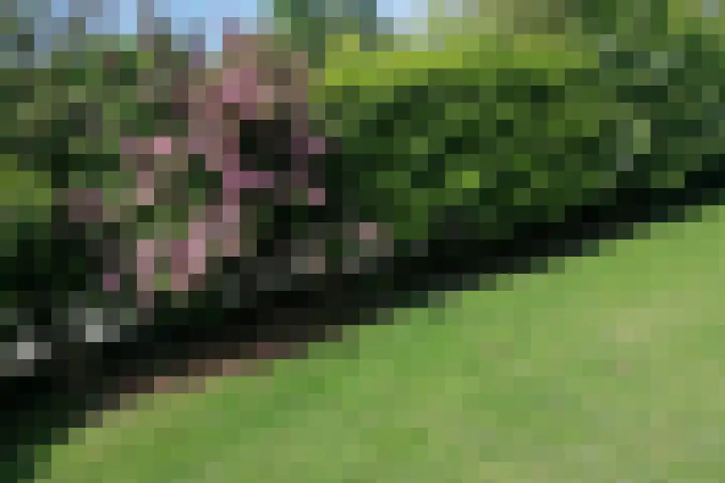 Grote Christoffelstraat 28 Retranchement thumbnail 22