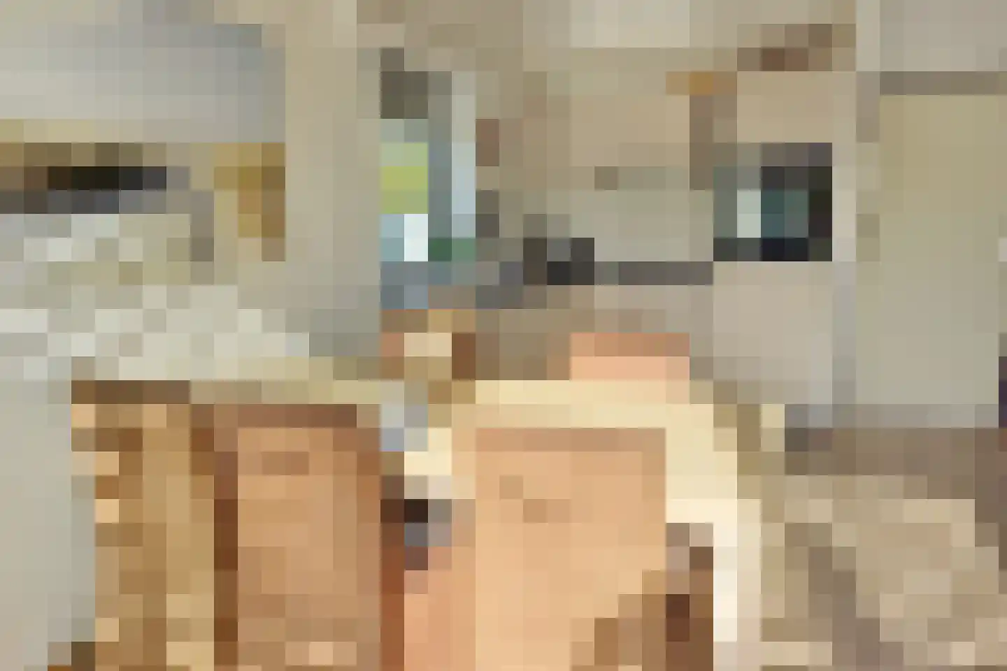 Grote Christoffelstraat 28 Retranchement thumbnail 8