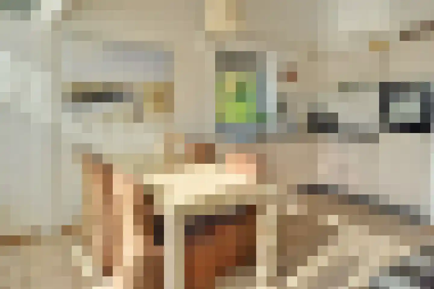 Grote Christoffelstraat 28 Retranchement thumbnail 9