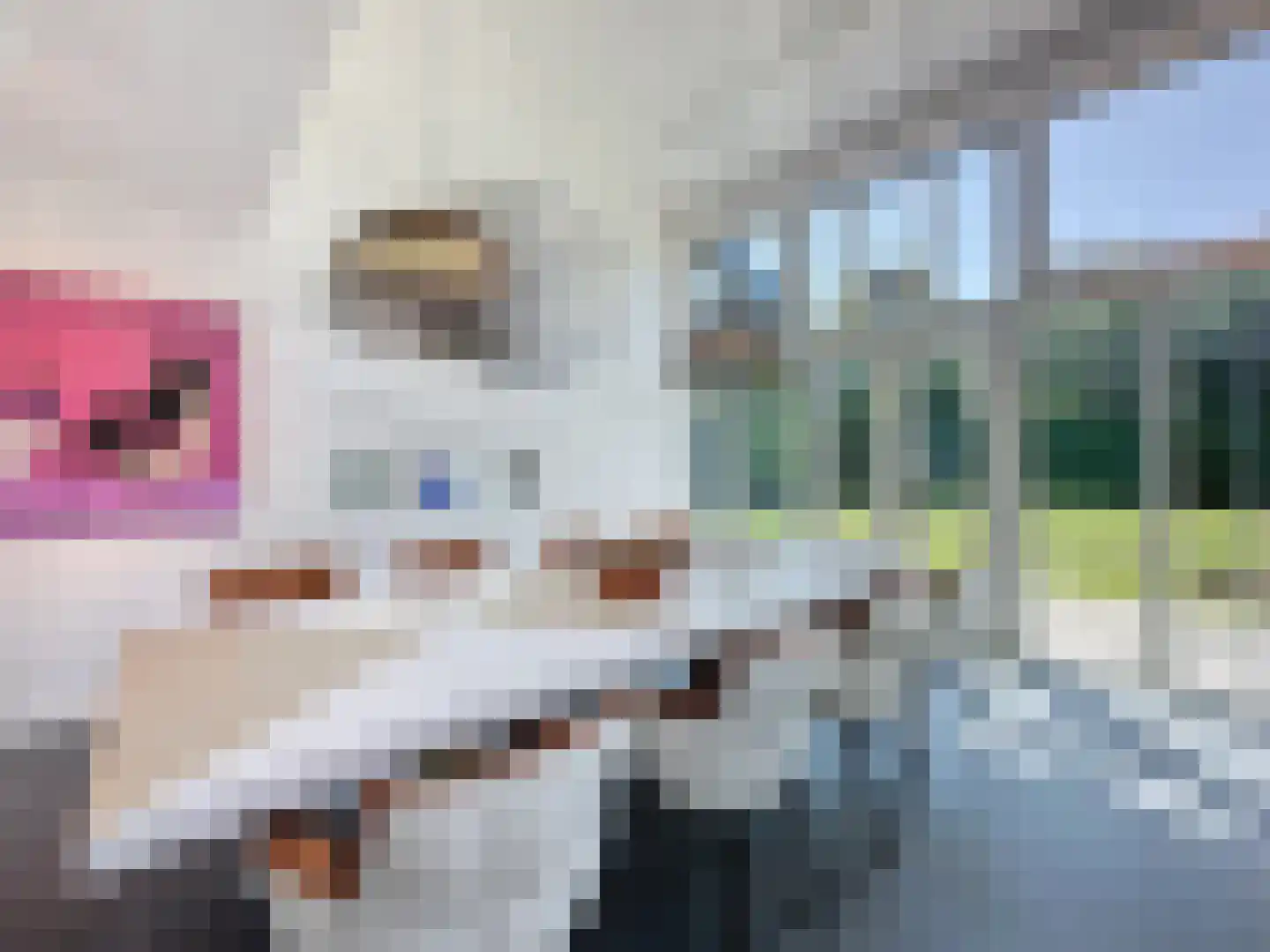 Grote Christoffelstraat 49 Retranchement thumbnail 11