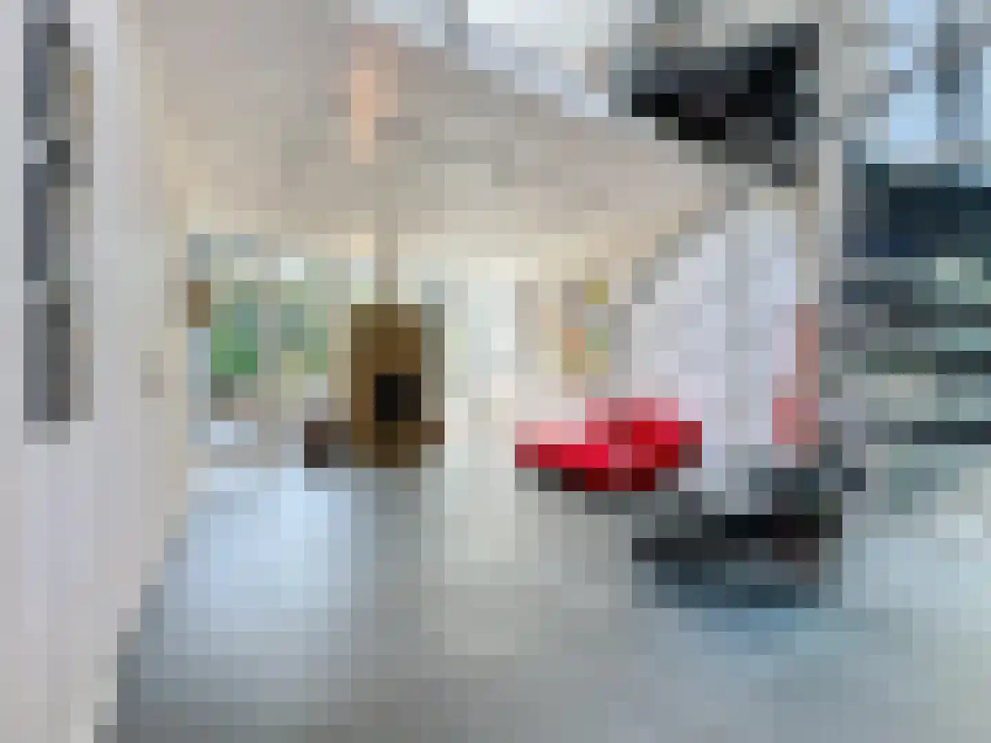 Grote Christoffelstraat 49 Retranchement thumbnail 19