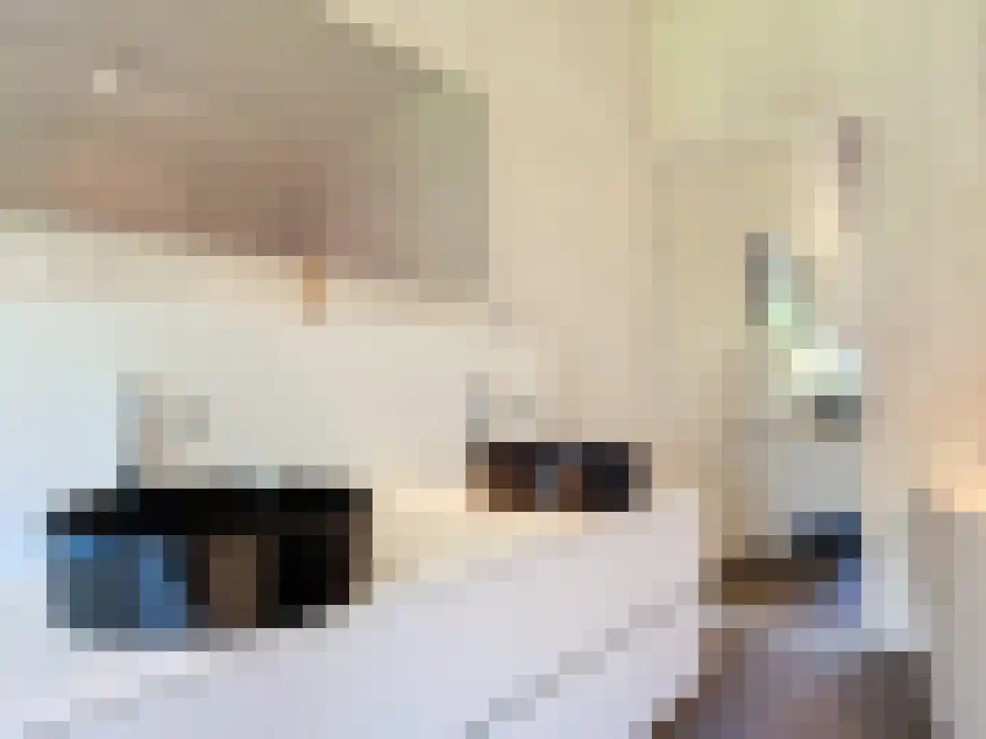 Grote Christoffelstraat 49 Retranchement thumbnail 30