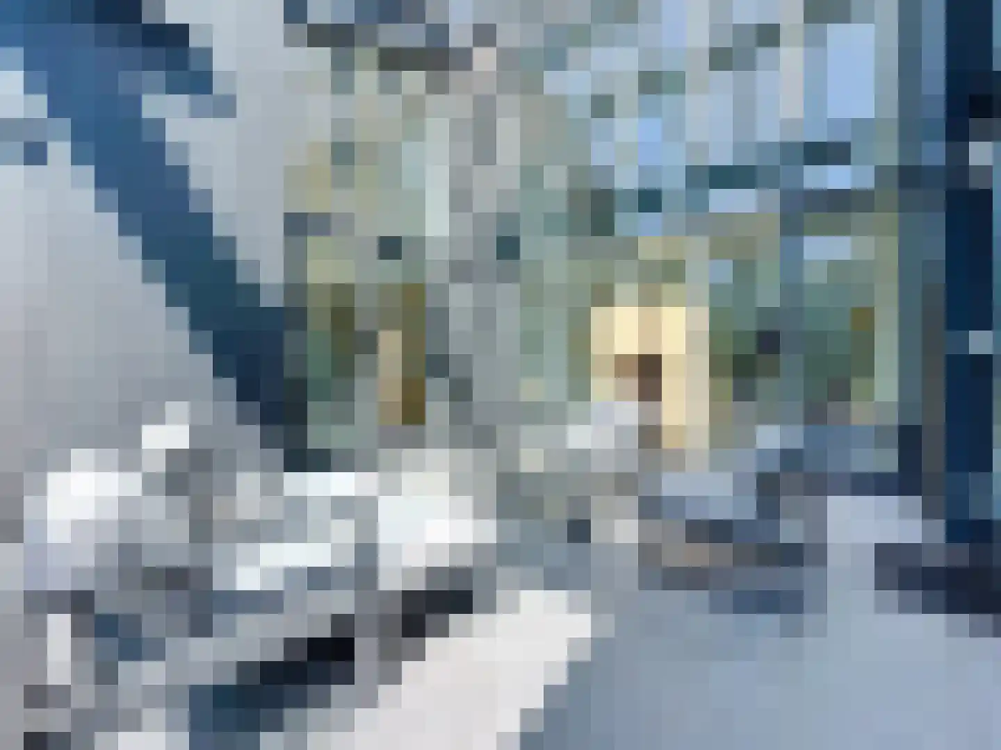 Grote Christoffelstraat 49 Retranchement thumbnail 32