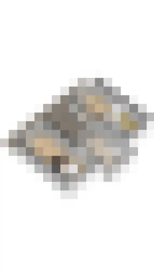 Grote Christoffelstraat 49 Retranchement thumbnail 42