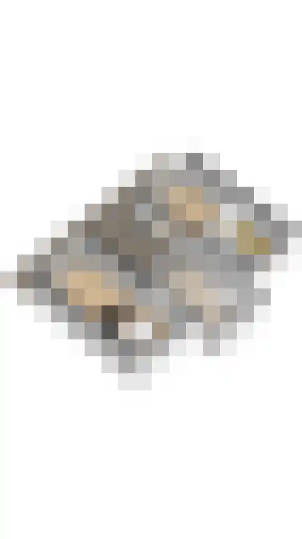 Grote Christoffelstraat 49 Retranchement thumbnail 42