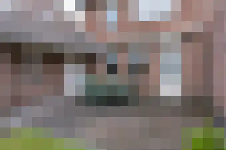 Grote Cour 33 Sint-Michielsgestel thumbnail 22
