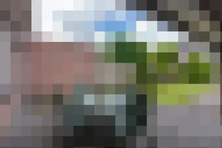 Grote Cour 33 Sint-Michielsgestel thumbnail 24