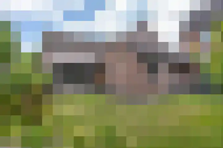 Grote Cour 33 Sint-Michielsgestel thumbnail 26