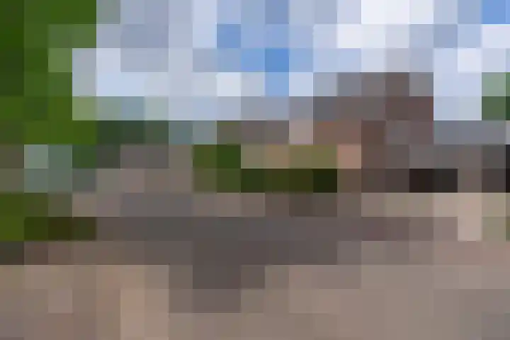 Grote Cour 33 Sint-Michielsgestel thumbnail 31