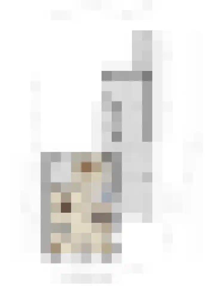 Grote Cour 33 Sint-Michielsgestel thumbnail 33