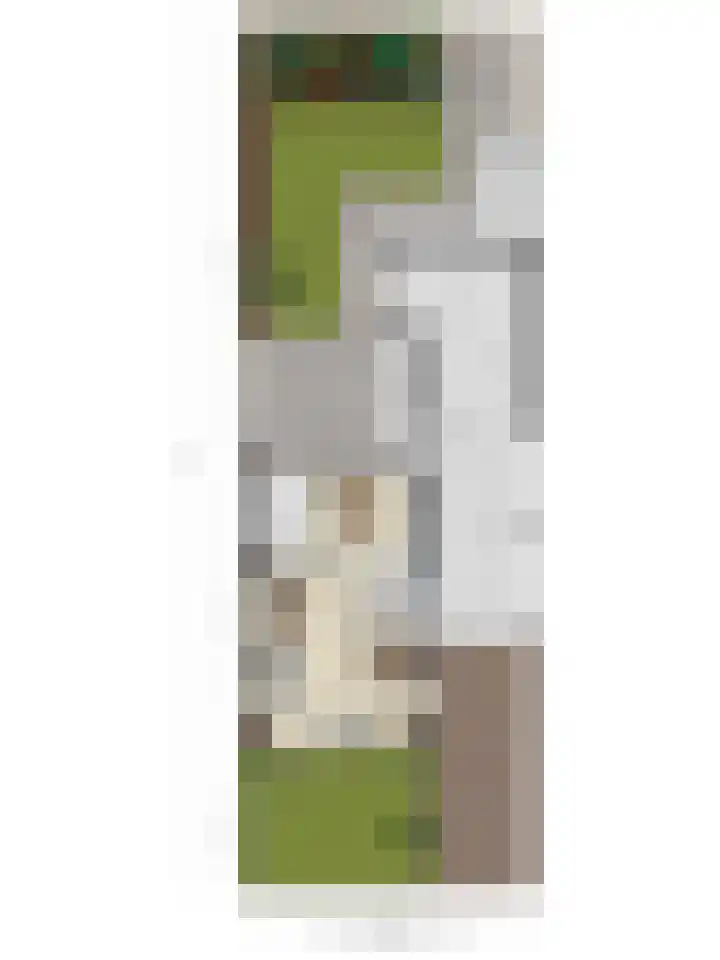 Grote Cour 33 Sint-Michielsgestel thumbnail 37