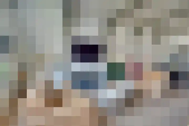 Grote Dam 1 De Rijp thumbnail 14