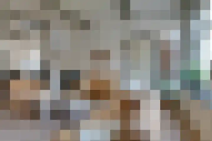 Grote Dam 1 De Rijp thumbnail 15