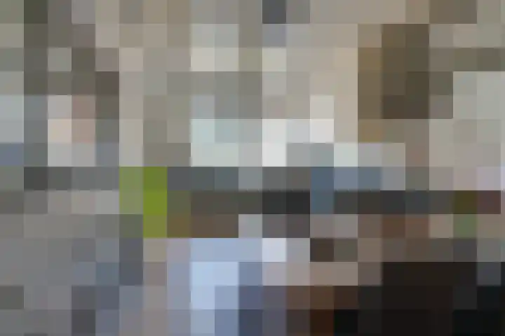 Grote Dam 1 De Rijp thumbnail 19
